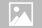 Jiuyou Sports-Ning新星晋级下一阶段表现突出，独行侠前途光明！-Jiuyou Sports